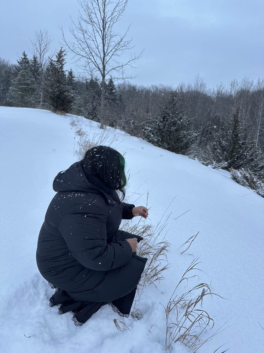 new year, same bun 🐰