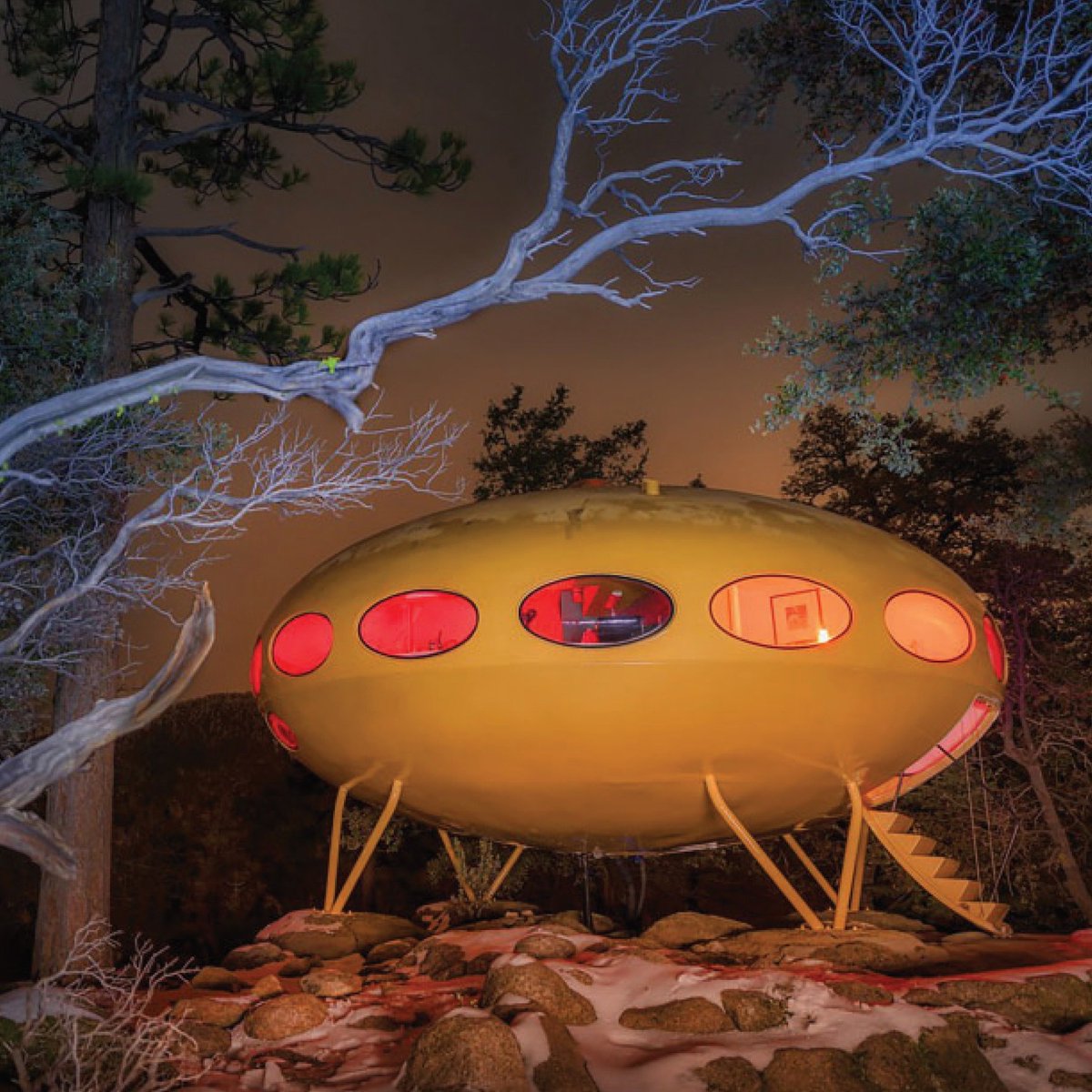 Eichler Network tweet media