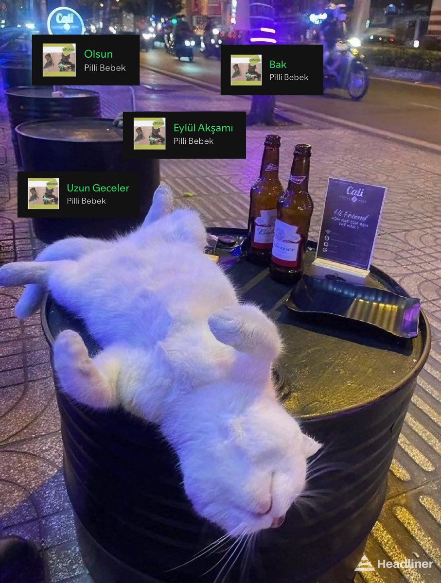 Headliner (@headlinertr) on Twitter photo 