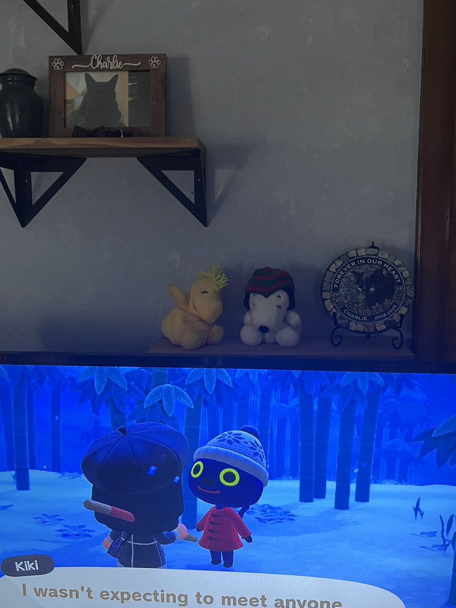 asteraes_'s tweet photo. wanted kiki in the first place to honor my cat and i feel like he had a paw (hand) in this https://t.co/9KDNq5WOGf