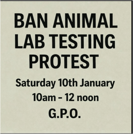 AnimalPartyIE's tweet photo. Please come join us tomorrow Saturday at the #GPO #Dublin from 10am to 12 noon to protest against #AnimalLabTesting that is rampant in #Ireland. We need to keep up the pressure on the authorities to make sure we put an end to this #evilpractice.  #BanAnimalTesting  #EndAnmalAbuse https://t.co/2ocVZ1rLHU