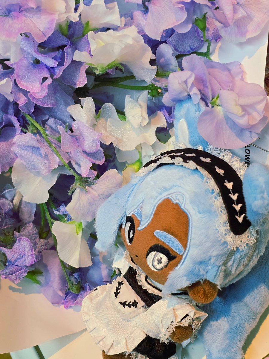 ❤血池地獄 82PIGEON🖤 tweet media