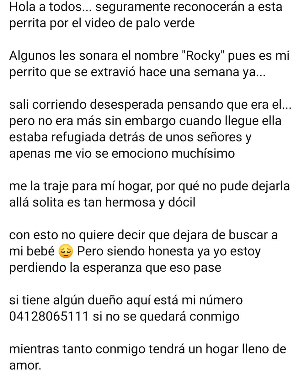PerroUsuario's tweet image. Miren esta bonita y muy noble actualización sobre la pequeña de Palo Verde y que varios han escrito que pudiera ser Rocky. ❤️😍