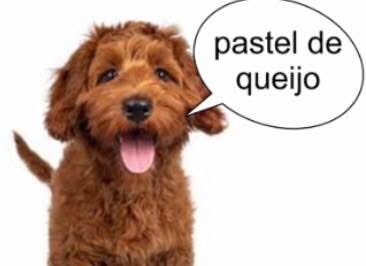 cachorrocore's tweet photo. https://t.co/UPDc7lydpV