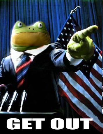 Get Out Frog tweet media