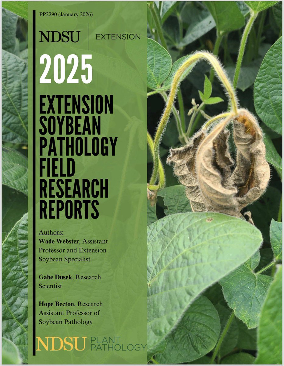 Wade Webster tweet media