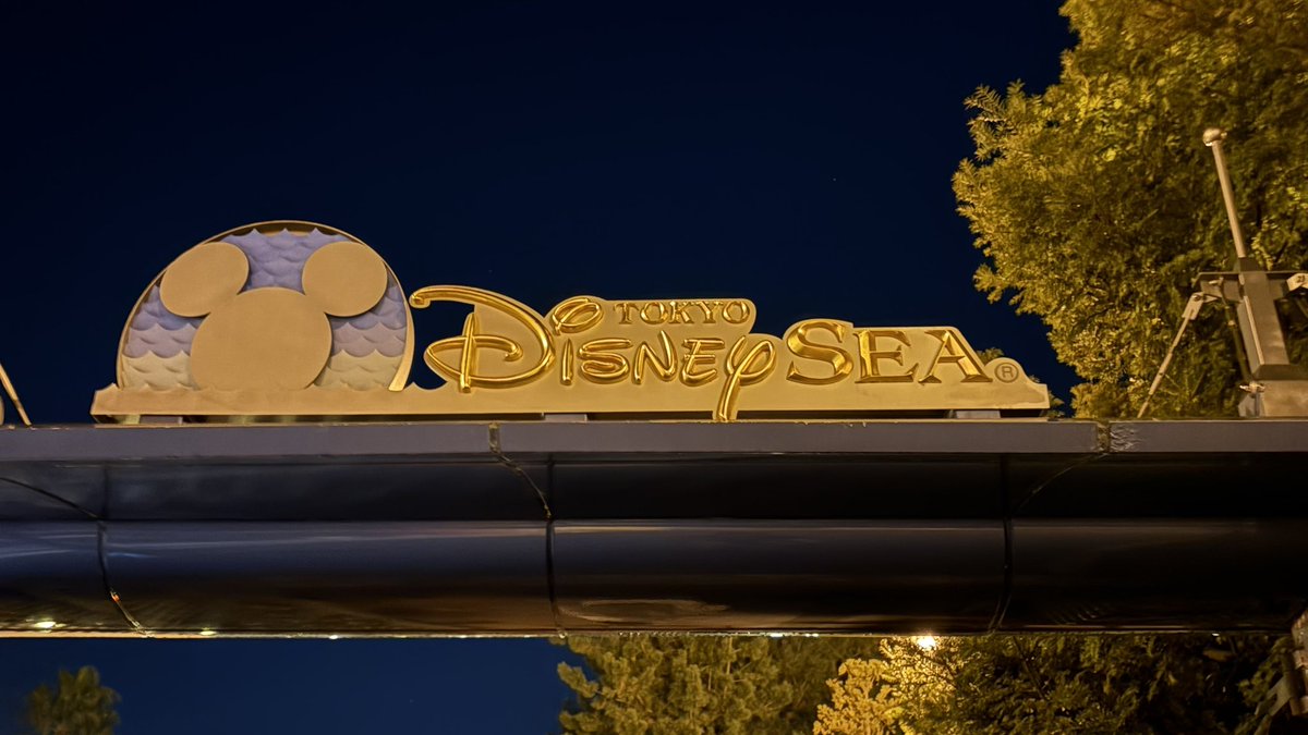 着いた！！ 割と前の方取れたぞ…！