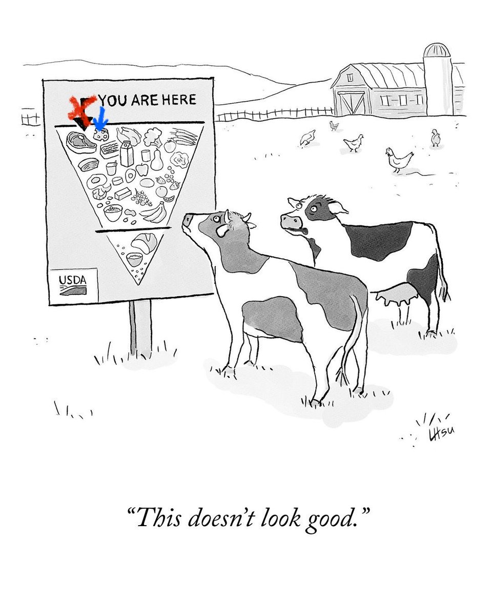 BrentWick's tweet photo. @NewYorker Those are dairy cows https://t.co/llFDgTLpnW