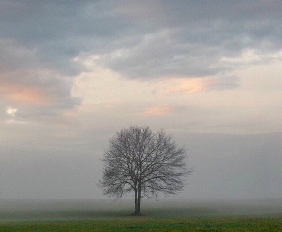 „Ich habe geträumt, 
Der Winter wäre vorbei.
Du warst hier und wir waren frei 
Und die Morgensonne schien.
Es gab keine Angst 
Und nichts zu verlieren.
Es war Frieden bei den Menschen Und unter den Tieren.
Das war das Paradies."
Gute Nacht mit Rio Reiser