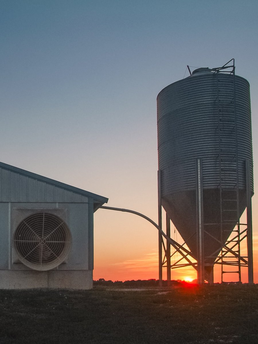 PorkCheckoff tweet media