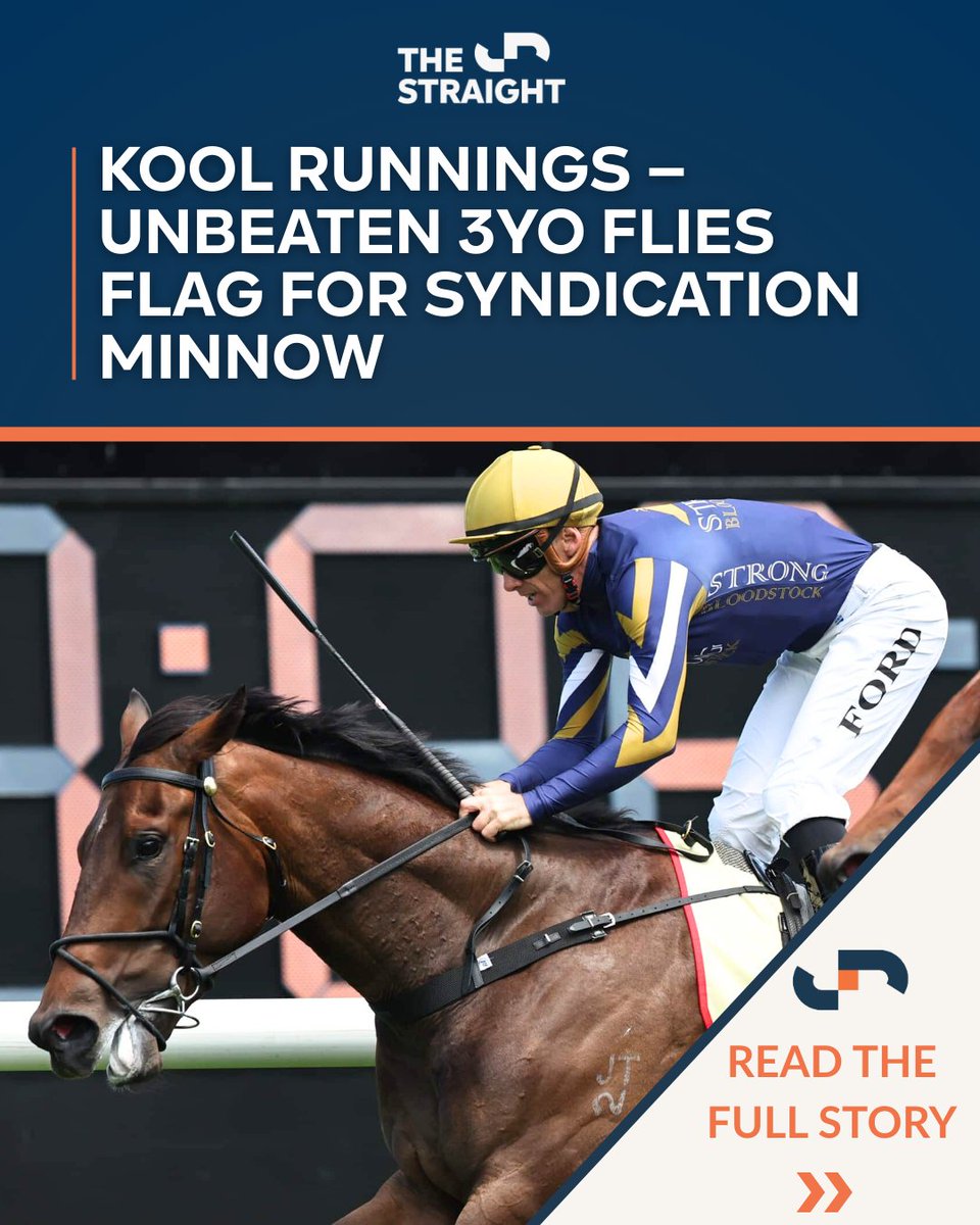 The Straight | Racing. Wagering. Breeding. tweet media