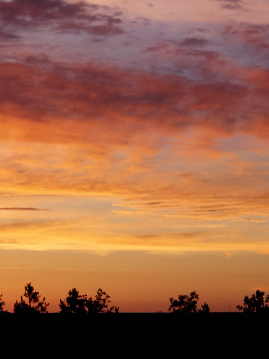 PorkCheckoff tweet media