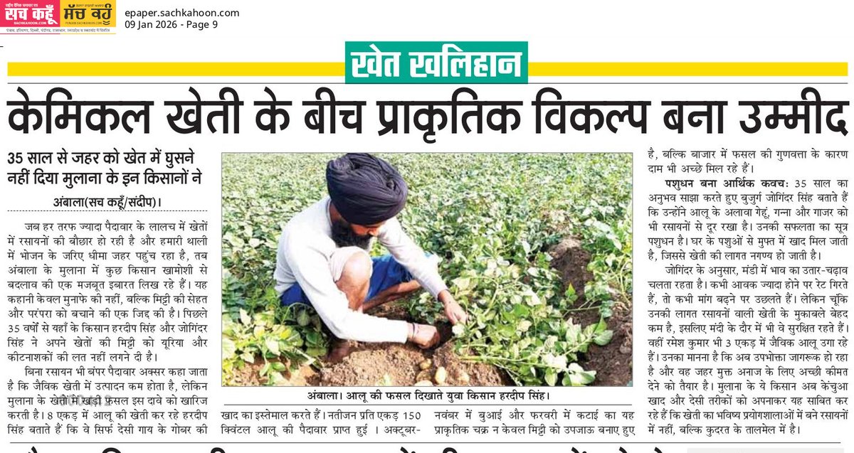 Sachkahoon's tweet image. केमिकल खेती के बीच प्राकृतिक विकल्प बना उदाहरण

35 वर्षों से बिना रसायन खेती कर रहे किसान जोगिंदर सिंह तथा हरदीप सिंह ने प्राकृतिक खेती से अच्छी पैदावार व बेहतर दाम हासिल किए।

Note: प्राकृतिक खेती से मिट्टी व सेहत सुरक्षित रहती है।

#OrganicFarming #NaturalFarming #khetibadi