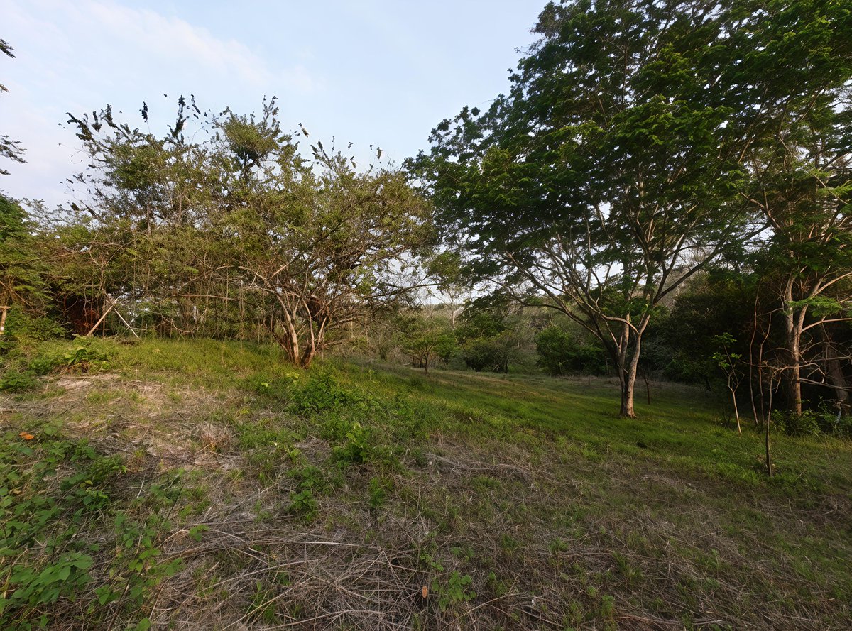 1/5
Le jour de l’événement, je présenterai un quartier résilient développé avec Elegancia Luxury.
Un projet dans le monde réel. Structuré. Pensé sur le long terme.🌱✨