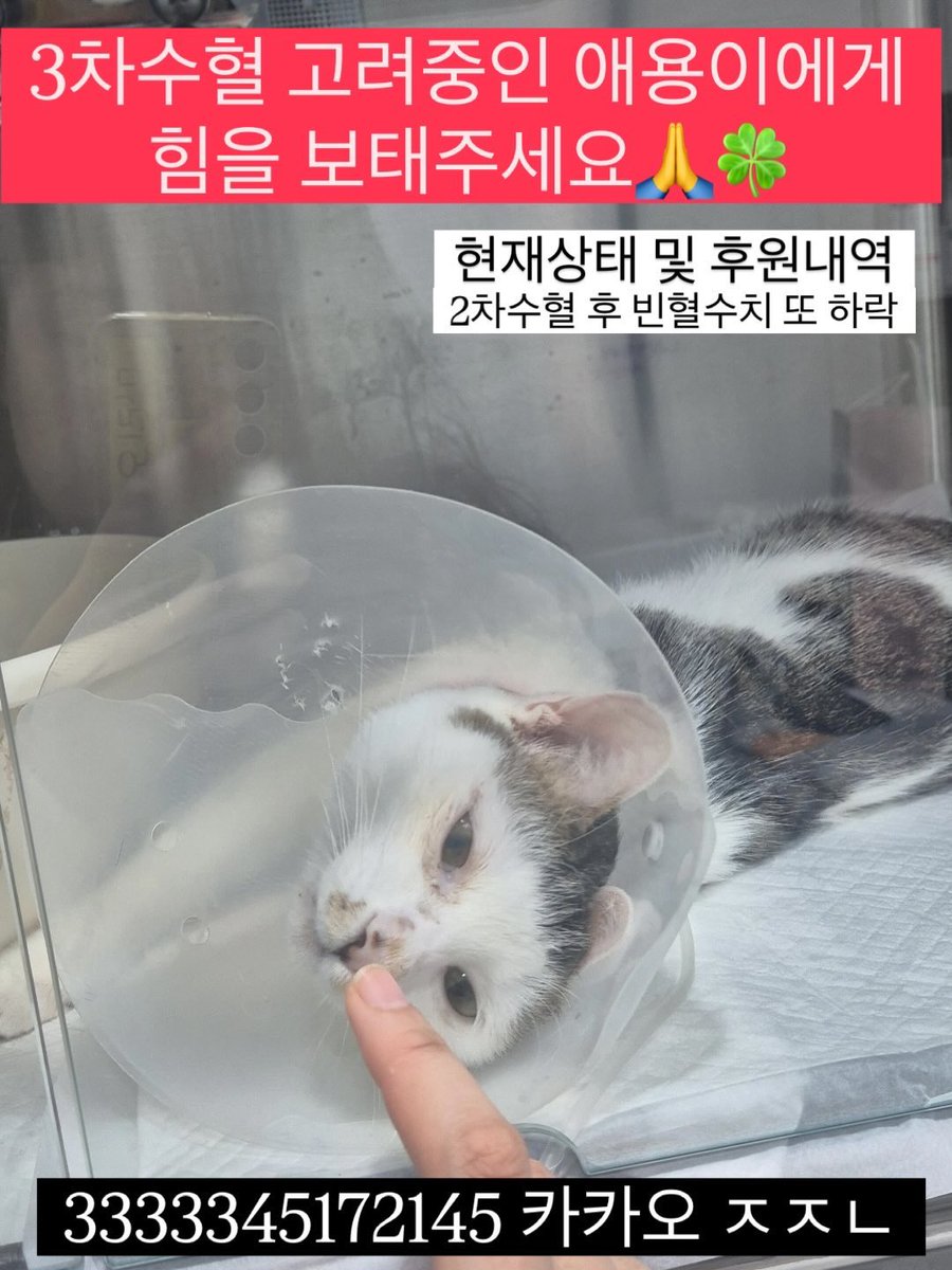 애용이 평생 가족찾기🏠 tweet media
