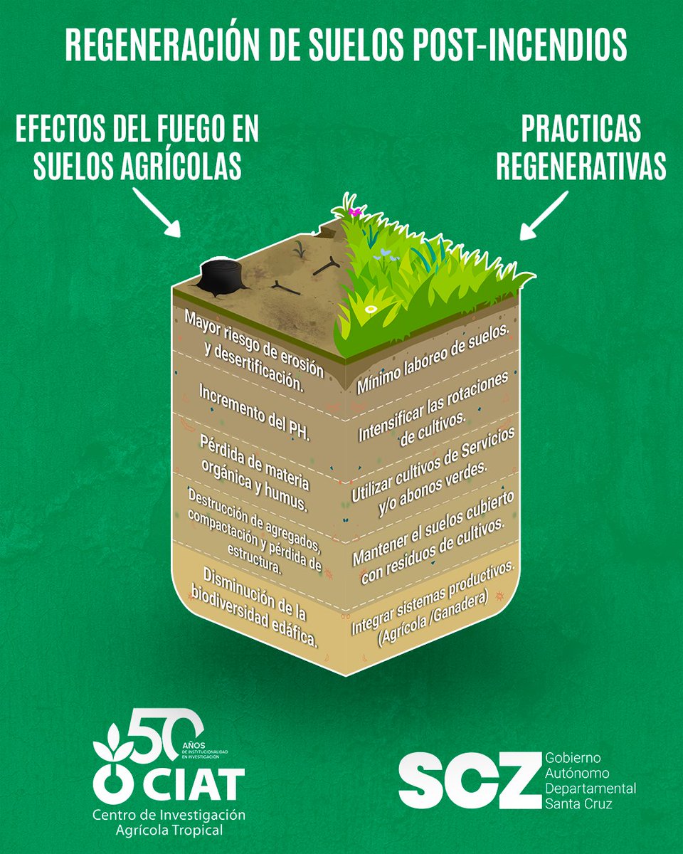 CIAT Bolivia tweet media
