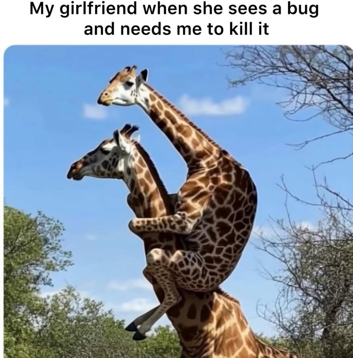 cravedcuddle's tweet image. 