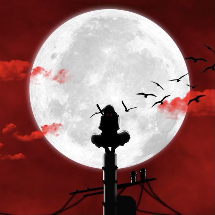 daily anime aesthetic ⛩️ (@dailyanimespics) on Twitter photo 