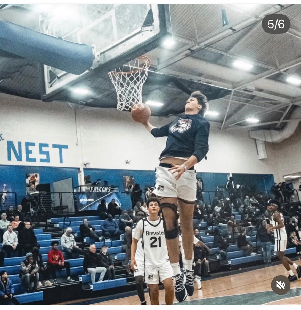 Rob Jacobsen tweet media