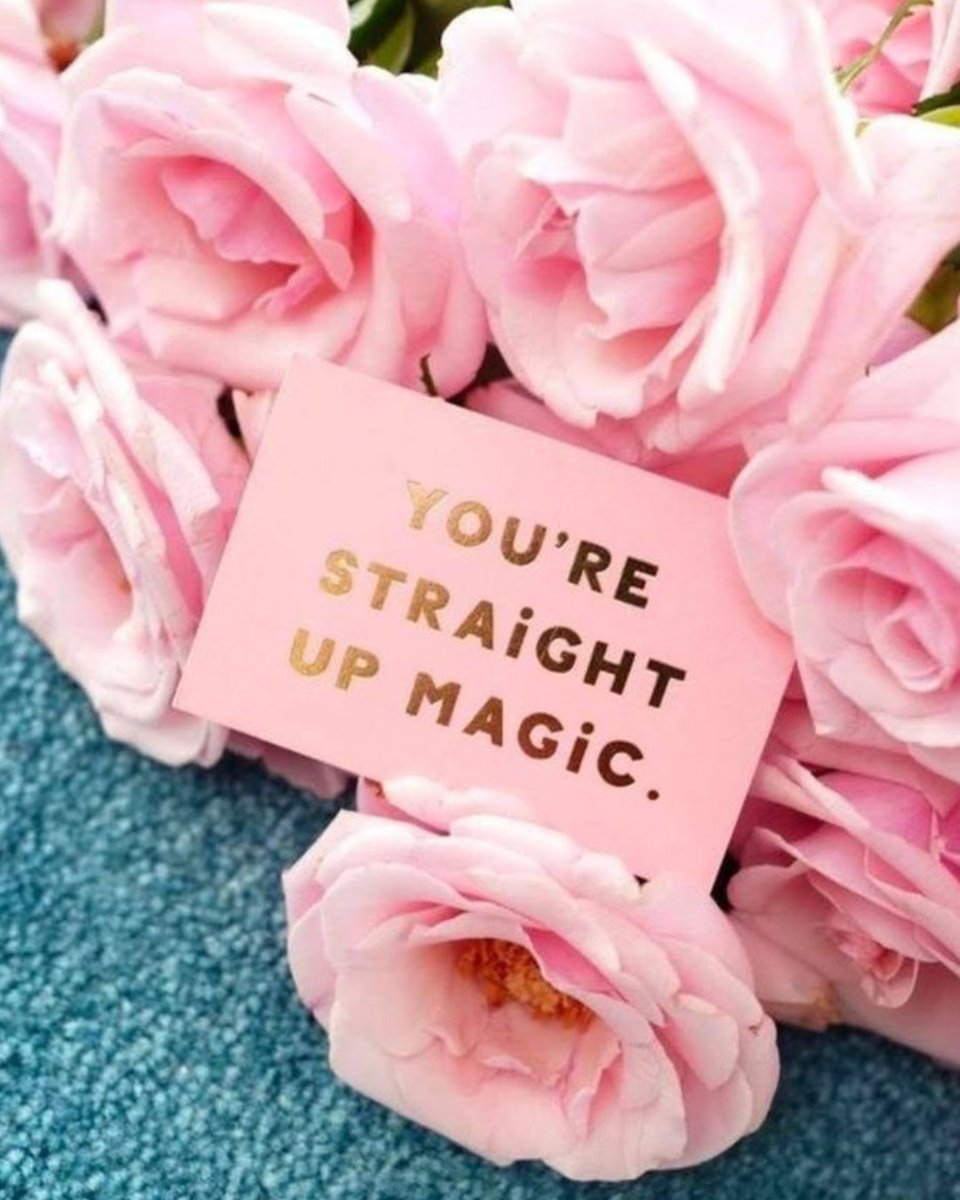 MuddStyle's tweet image. Magic we all need ✨