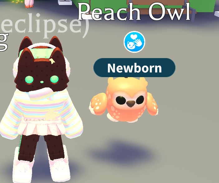 cloudcat giveaways! :D tweet media