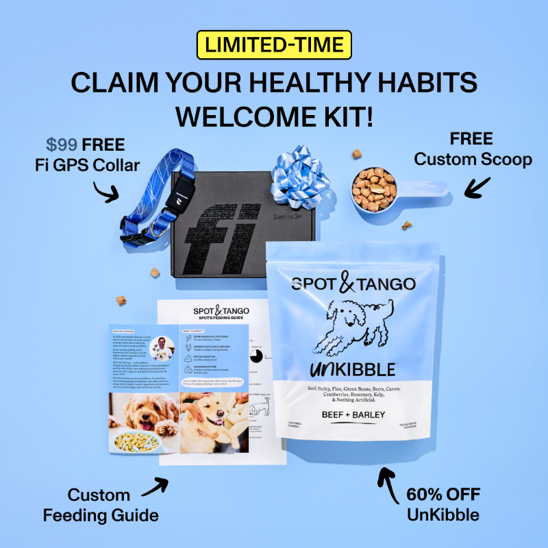 spotandtango's tweet photo. Get 50% Off + FREE Fi Collar 🎁

100% real ingredients

No fillers or preservatives

Vet-developed recipes
Fresh without the fridge