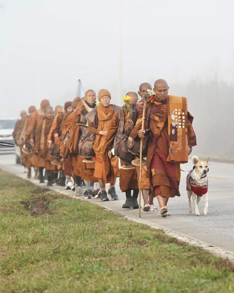 SToThinkA's tweet image. Just a reminder that there are positive events happening in the world. If you are not aware of it. There are group of Buddhist monks — with loyal dog, Aloka — walking from Fort Worth, Texas, to Washington, D.C. 

Their journey is called Walk for Peace

#WalkForPeace #USA