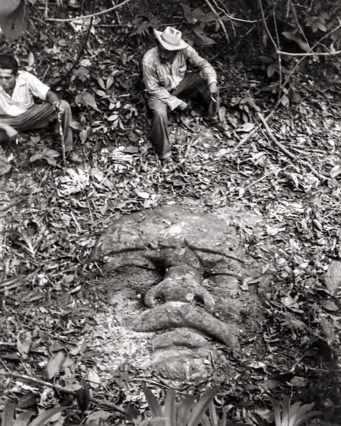 Megalithic Marvels tweet media