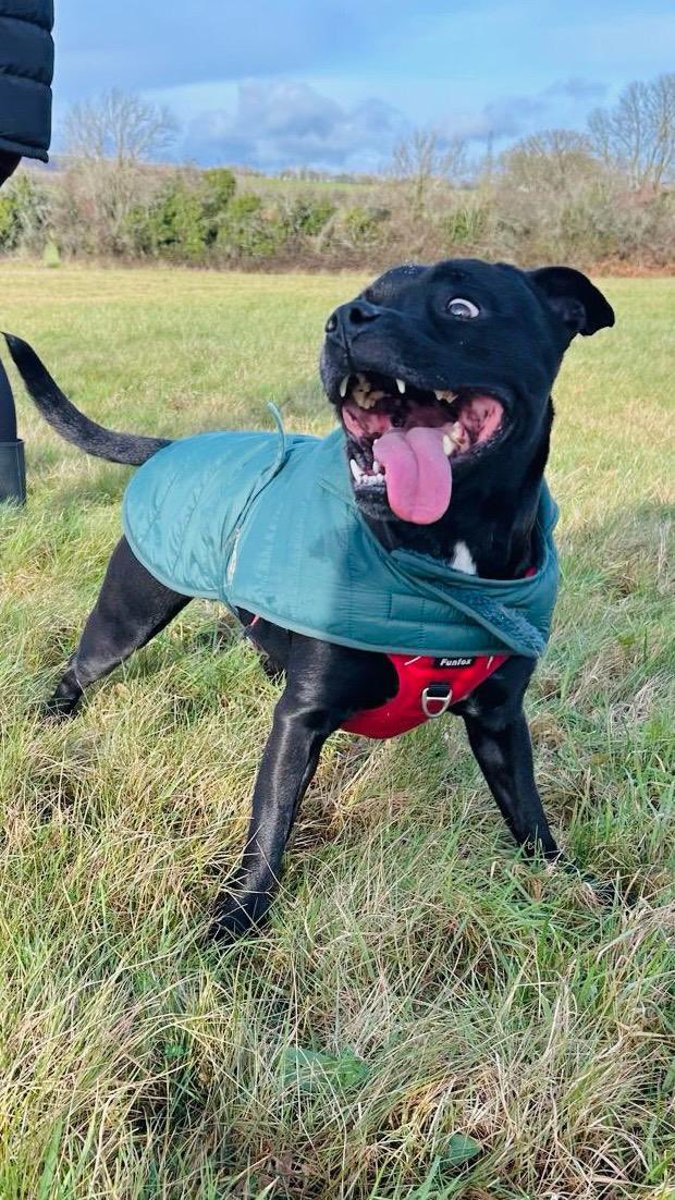 Baby Frank & his teddy, Edward 🧸🏴󠁧󠁢󠁷󠁬󠁳󠁿 tweet media