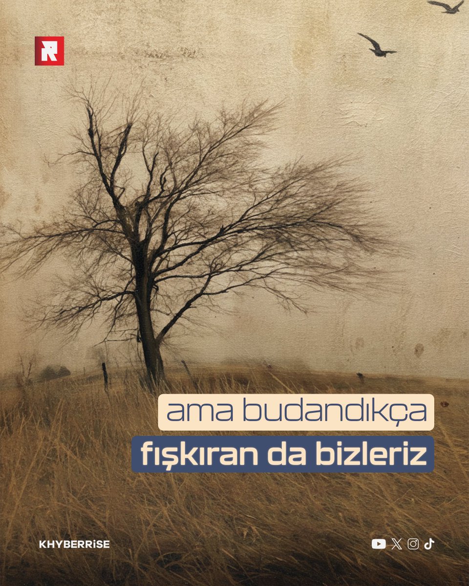 tarafgir_'s tweet photo. dağlarda gürbüz bir ölümdür bizim arkadaşlarınki
pusmuş bir şahanız şimdilik, ne kadar şahan olsak
ama budandıkça fışkıran da bizleriz
ölüyoruz, demek ki yaşanılacak...

#İsmetÖzel https://t.co/mtGWRxSMDa