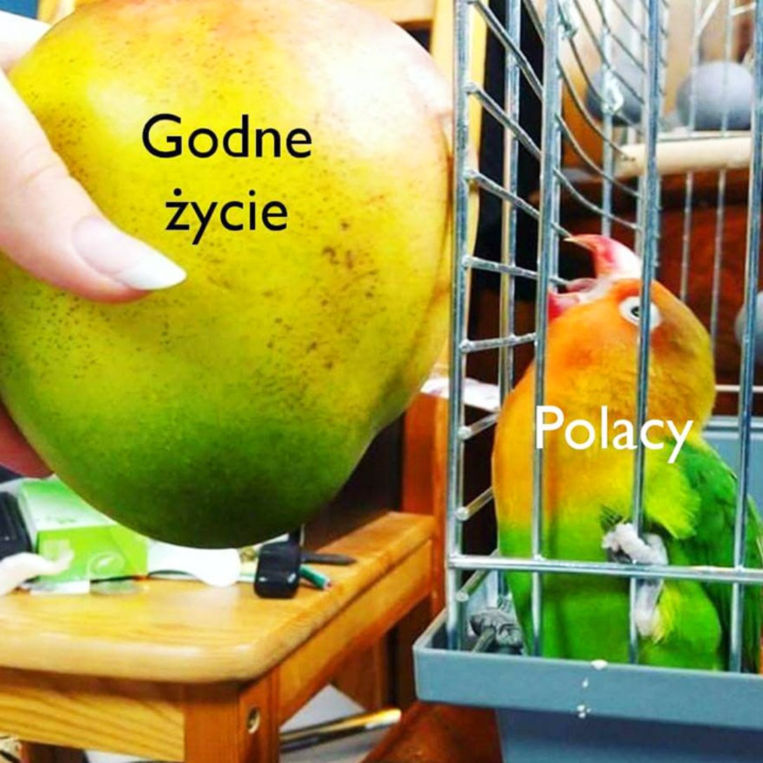 Dobra, szybki status:

- śmieciówki i udawane działalności gospodarcze nie tylko niezagrożone, ale zabetonowane. Nie będziemy mieli ładnych rzeczy, etatów, szkoleń, ubezpieczeń, przewidywalności. 

- będziemy mieć publicystów tłumaczących, że te wszystkie prace na chwilę, związki