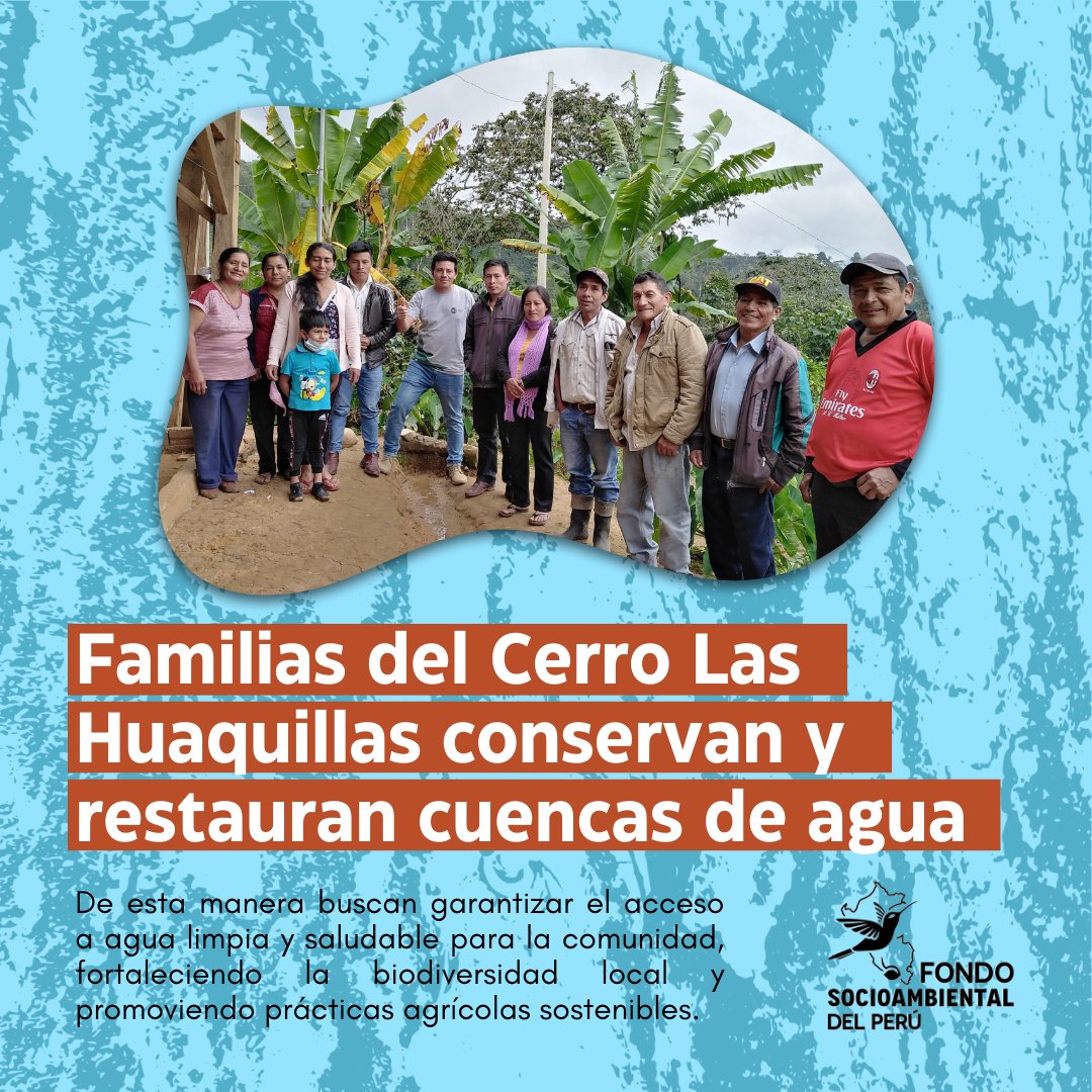 PeruFondo's tweet photo. #ProyectosQueHacenHistoria 💧🌱
En el Cerro Las Huaquillas, familias organizadas restauran cuencas de agua para proteger fuentes hídricas, biodiversidad y agricultura local.
Conservación comunitaria que defiende el territorio y la vida.

#FSP https://t.co/2ltpBWL03P