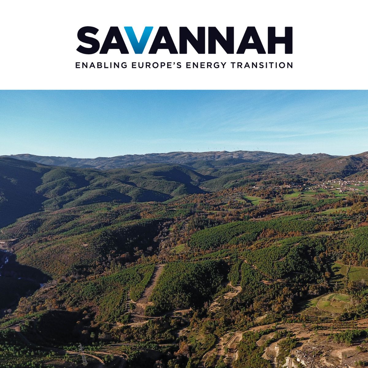 Savannah Resources tweet media