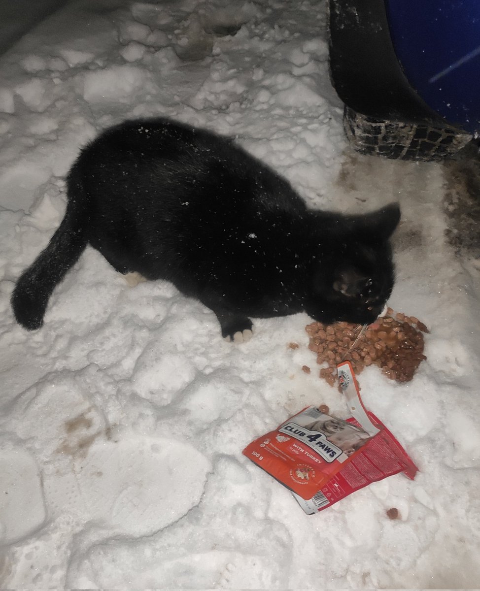 send.monobank.ua/jar/97Qw78NSuk
4441 1111 2520 1693 

на щоденне годування вуличних тваринок 

pp igorhorobetz@gmail.com 

завтра зранку куплб більшість корму, до вечора треба буде ще 900-1000, хочу докупити пару мисочок, прошу рт