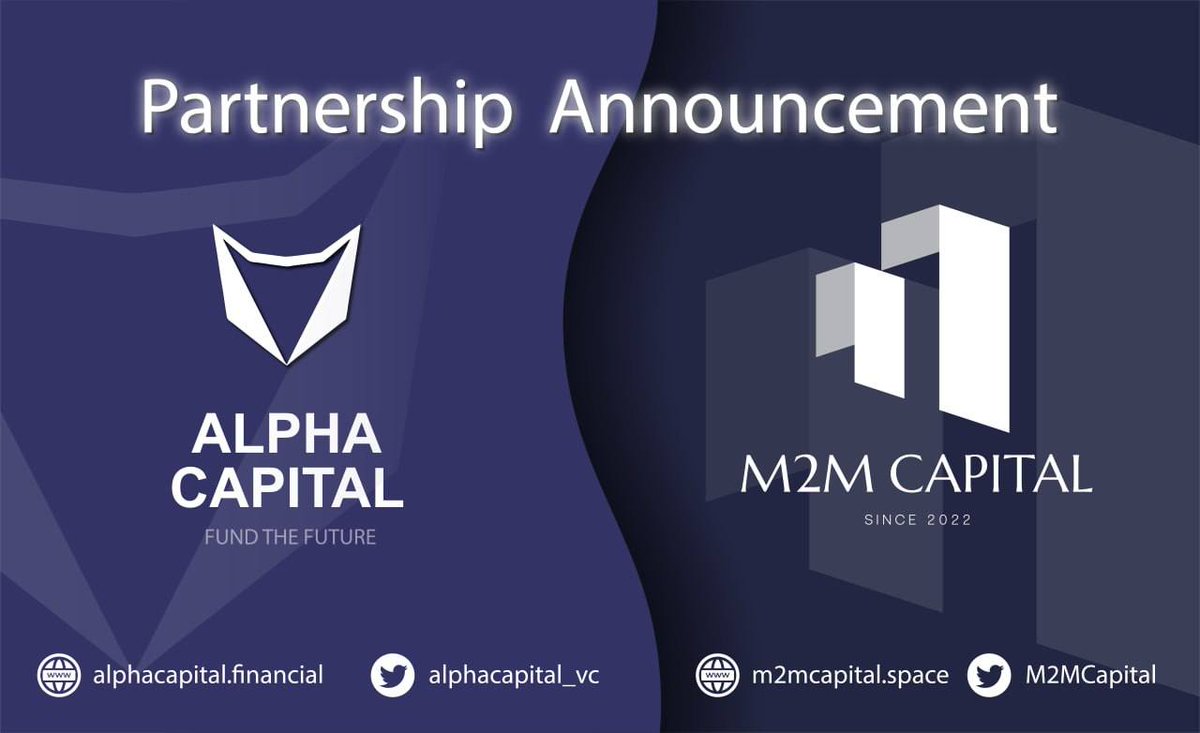 Alfa Valor Investments Ltd promotes equality in client relationships..mry