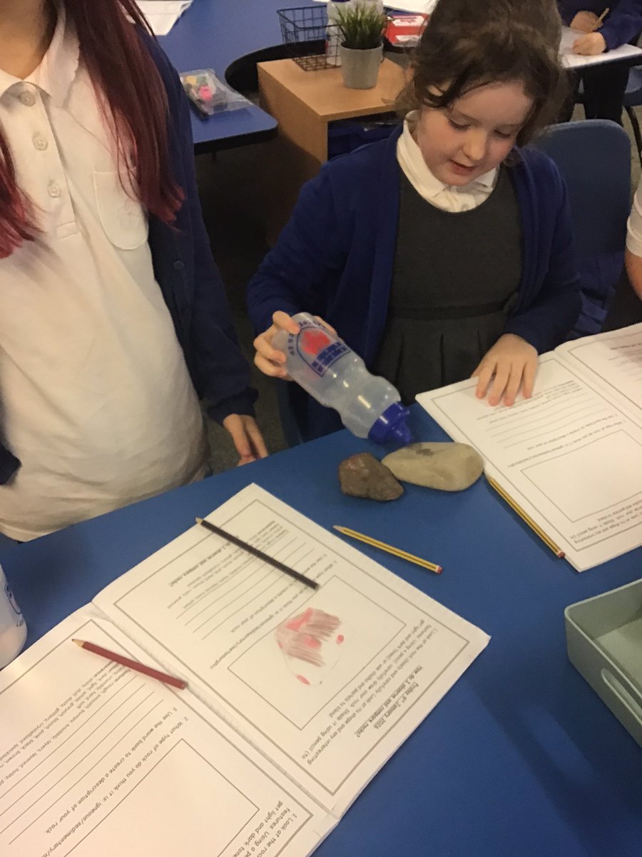 Lanchester EP Primary School tweet media