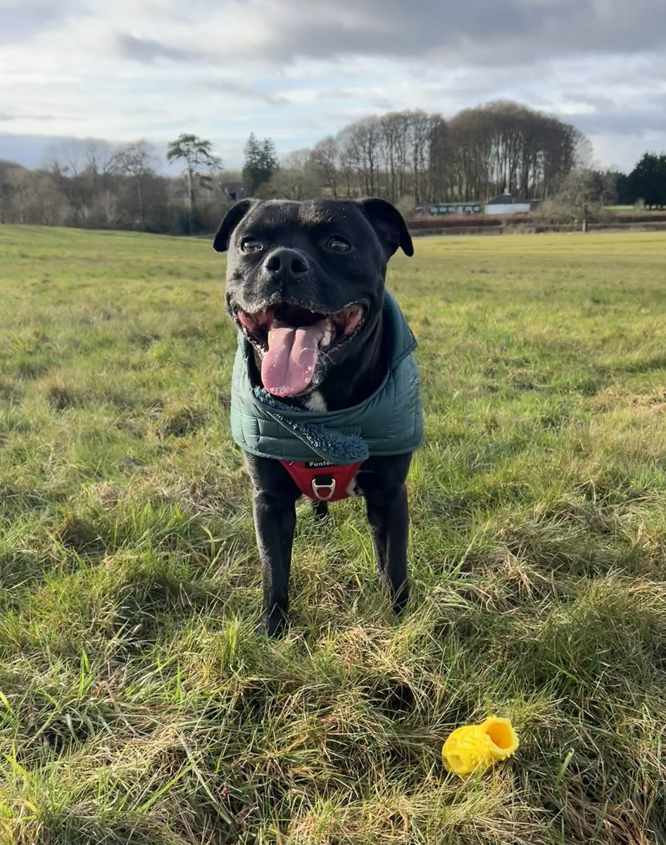 Baby Frank & his teddy, Edward 🧸🏴󠁧󠁢󠁷󠁬󠁳󠁿 tweet media