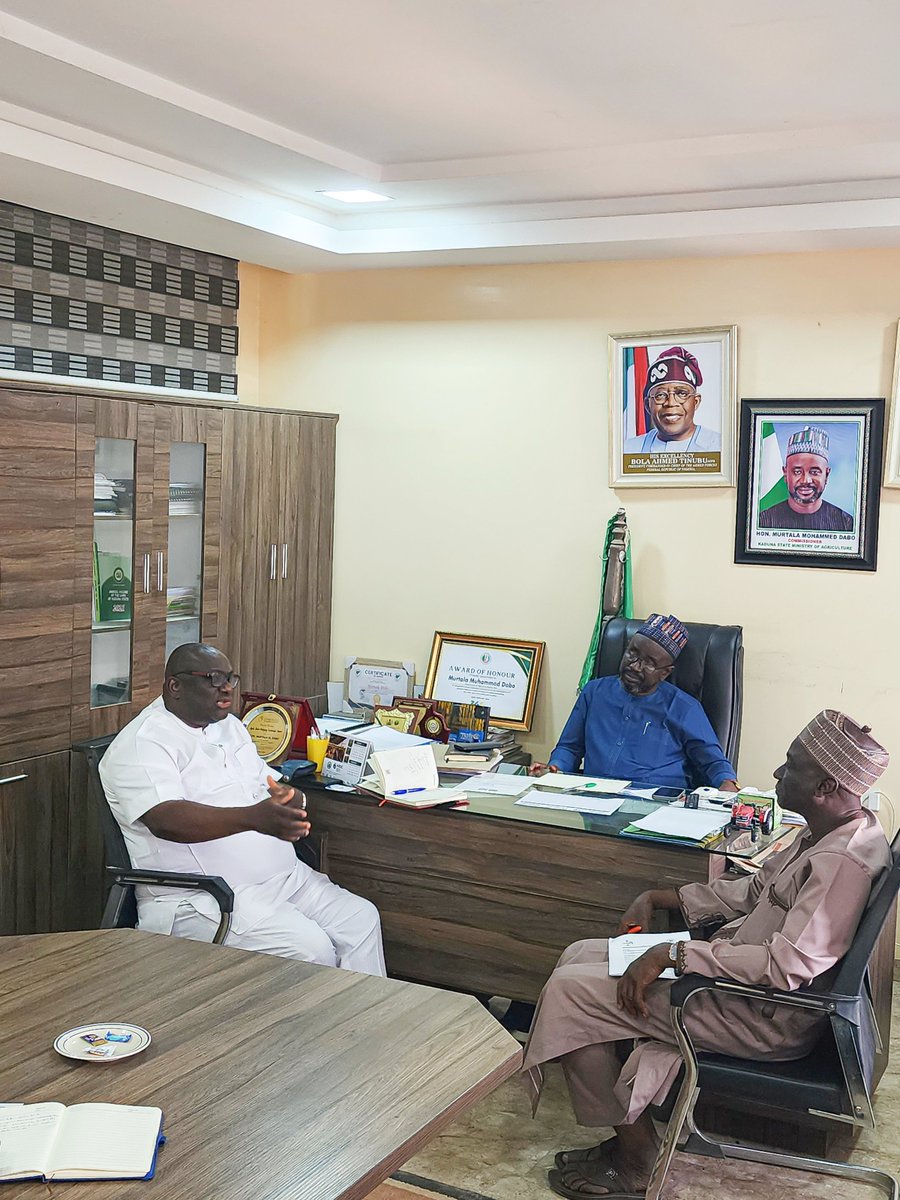 Global Peace Development (GPD) tweet media