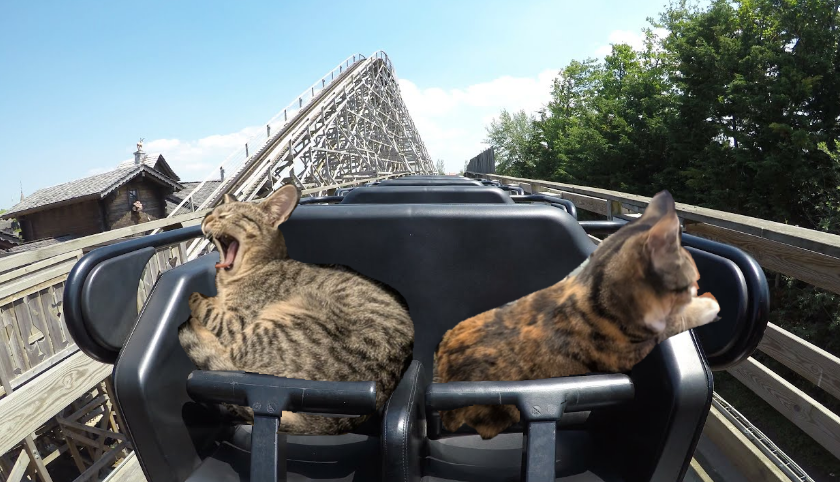 trackingvoid tweet media