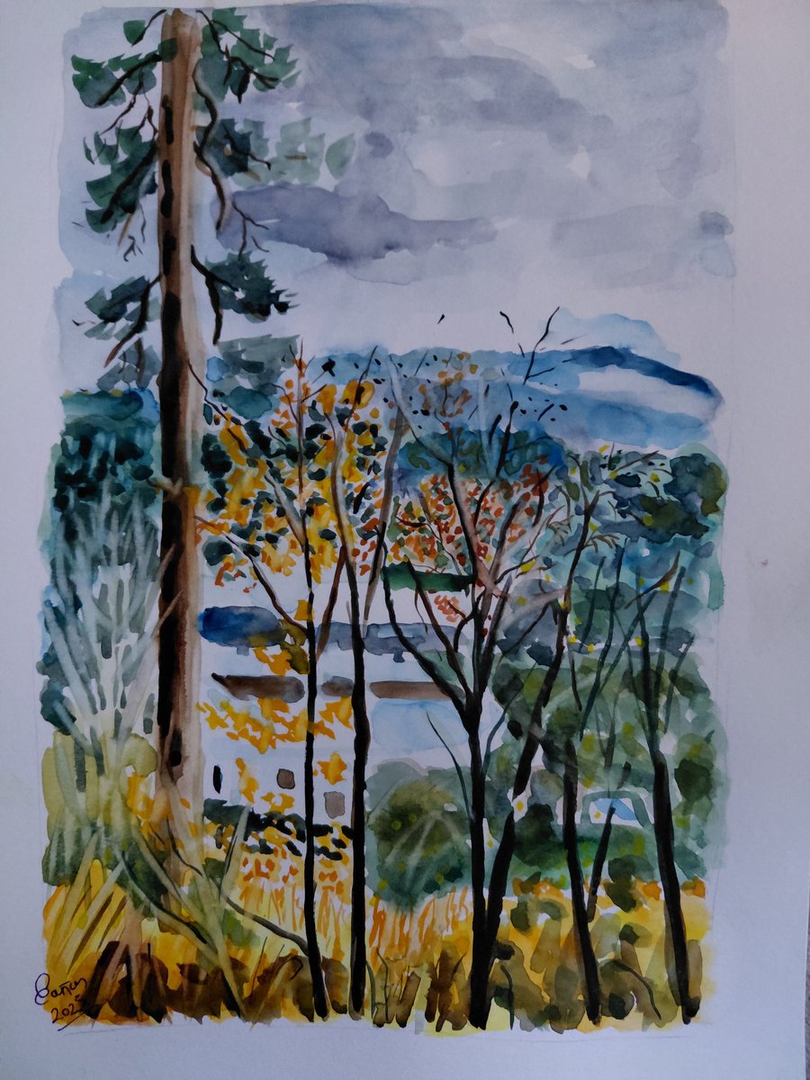 Acuarela sobre papel Canson A4
Pero a cada uno de nosotros fue dada la gracia conforme a la medida del don de Cristo
Efesios 4:7
#felizfindesemana
#artwork  #acuarela