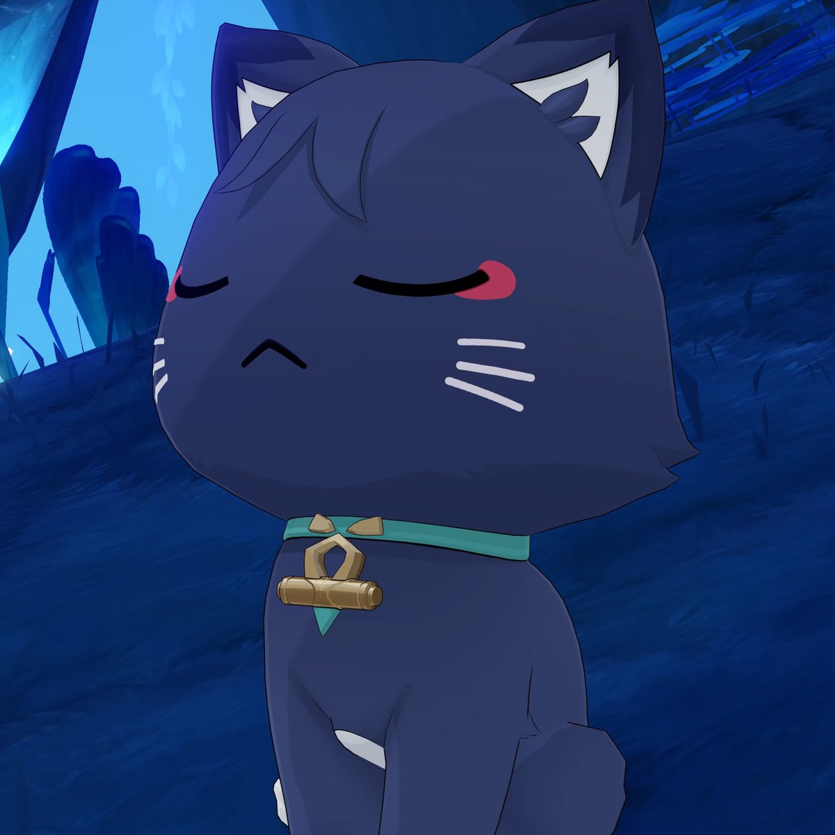kzscrly's tweet image. cutest kitty in every universe