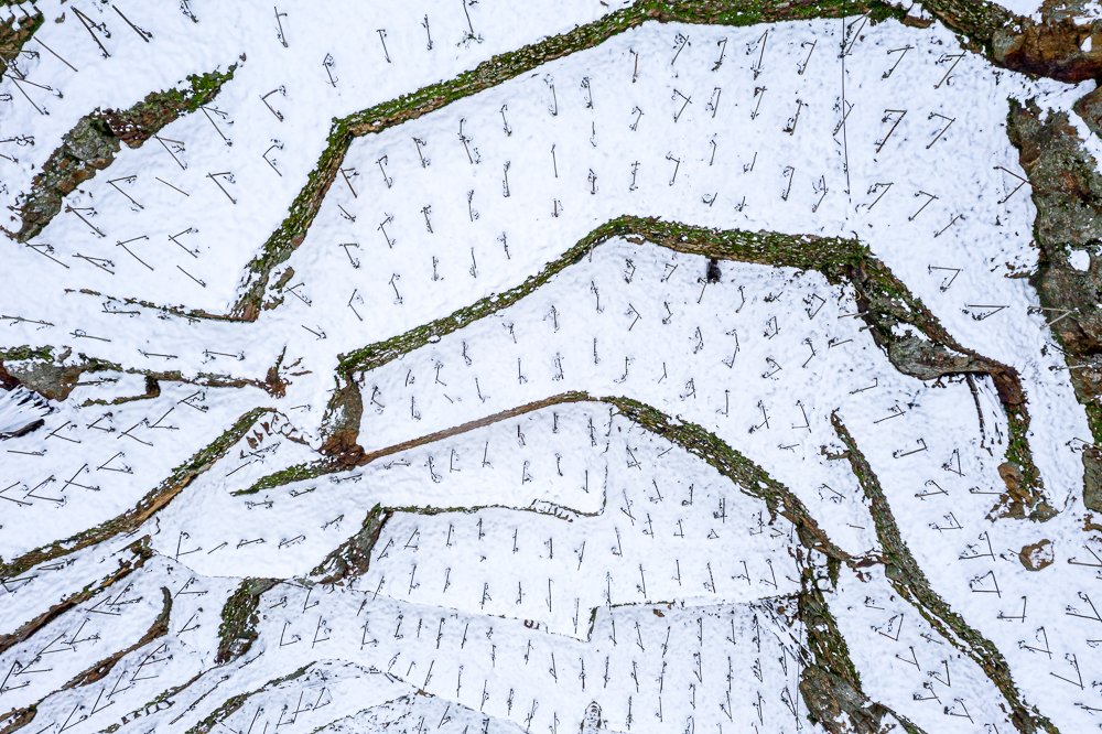 Domaine Guigal tweet media