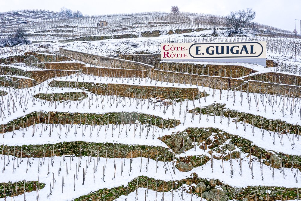 Domaine Guigal tweet media
