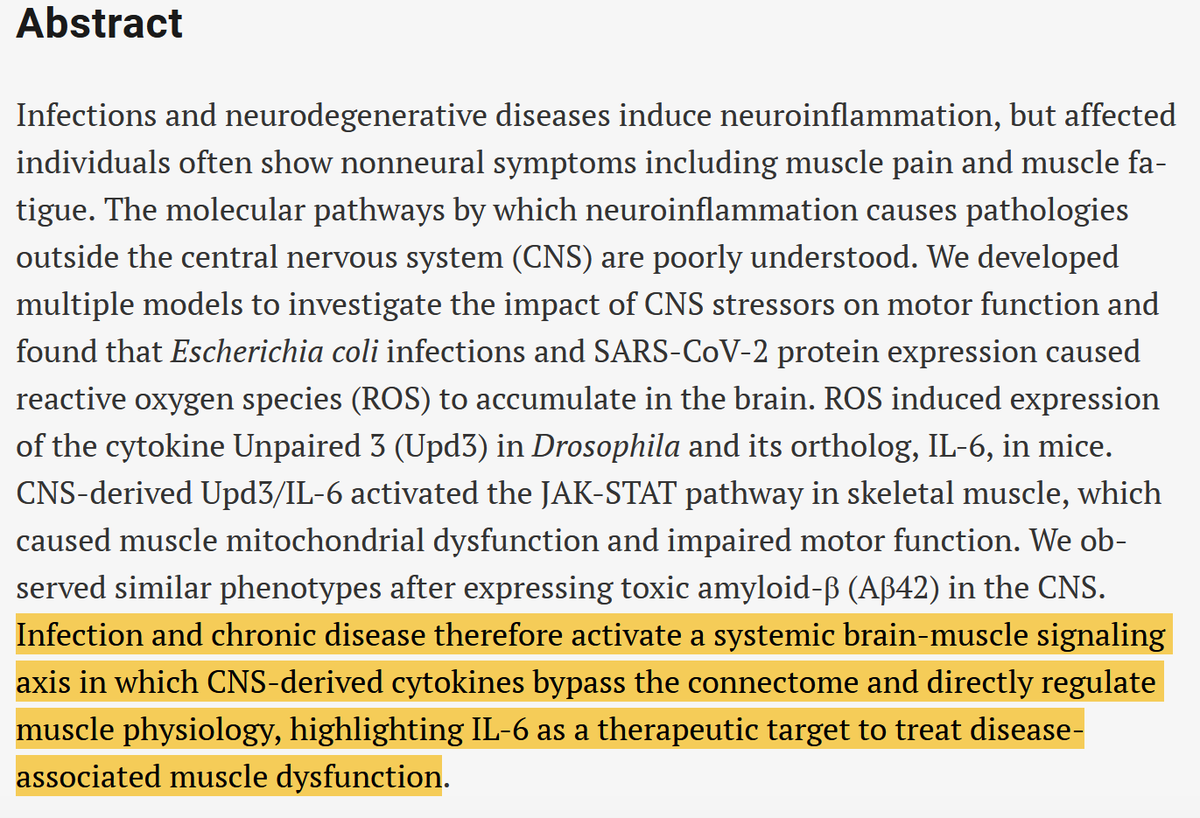 RenzPolster's tweet photo. Muscle fatigue can result from #neuroinflammation via the brain-muscle axis:
https://t.co/fhr8srQQoA https://t.co/8NN5gFN1r6