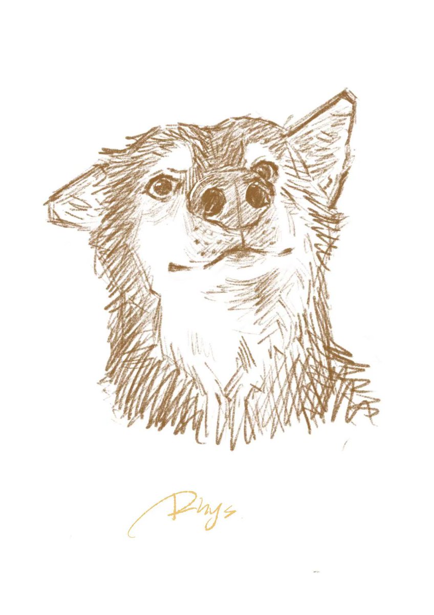 PengZhou7927's tweet photo. A quick sketch
#FurryArt
#FurryArtist
#FurryFandom
#FurrySketch https://t.co/wB6kOersxc