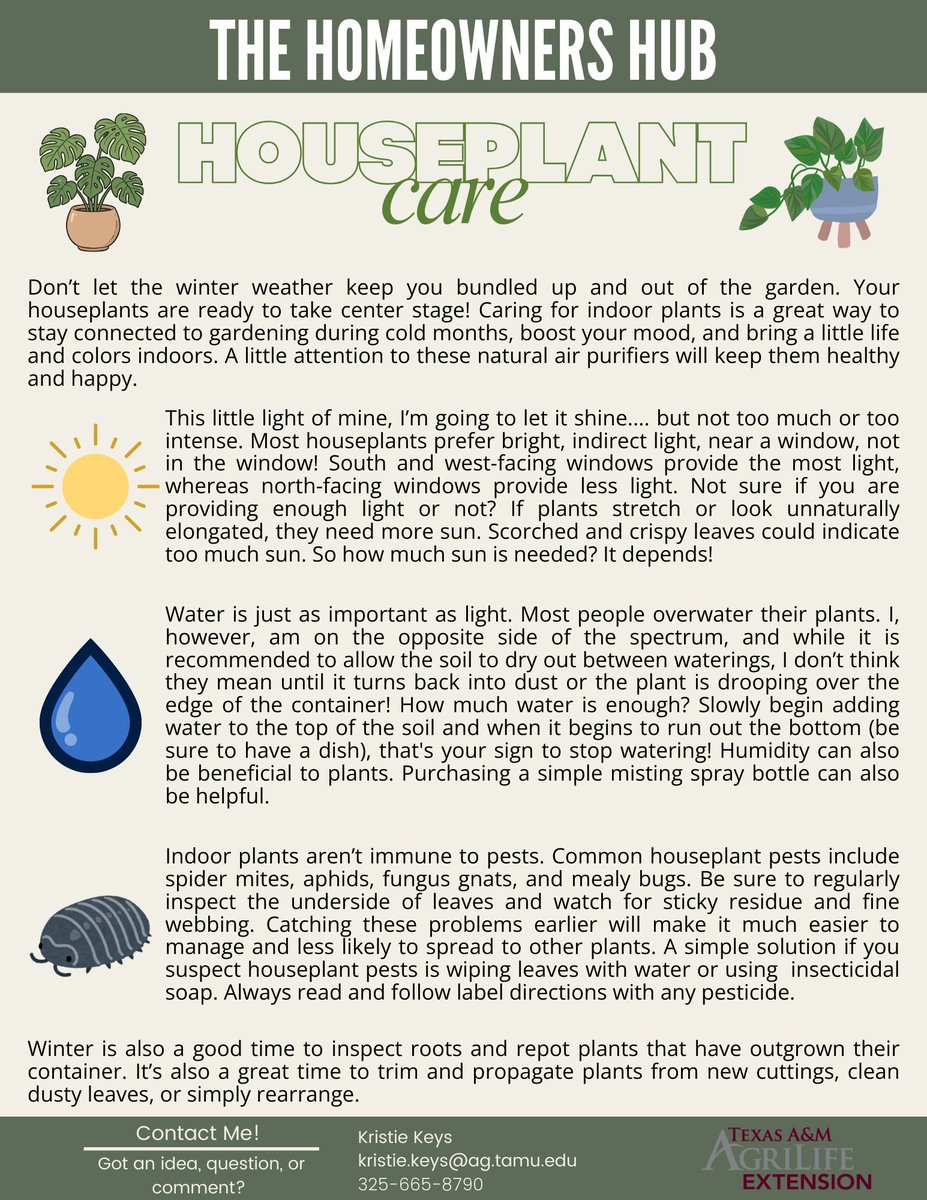 Kristie Keys tweet media