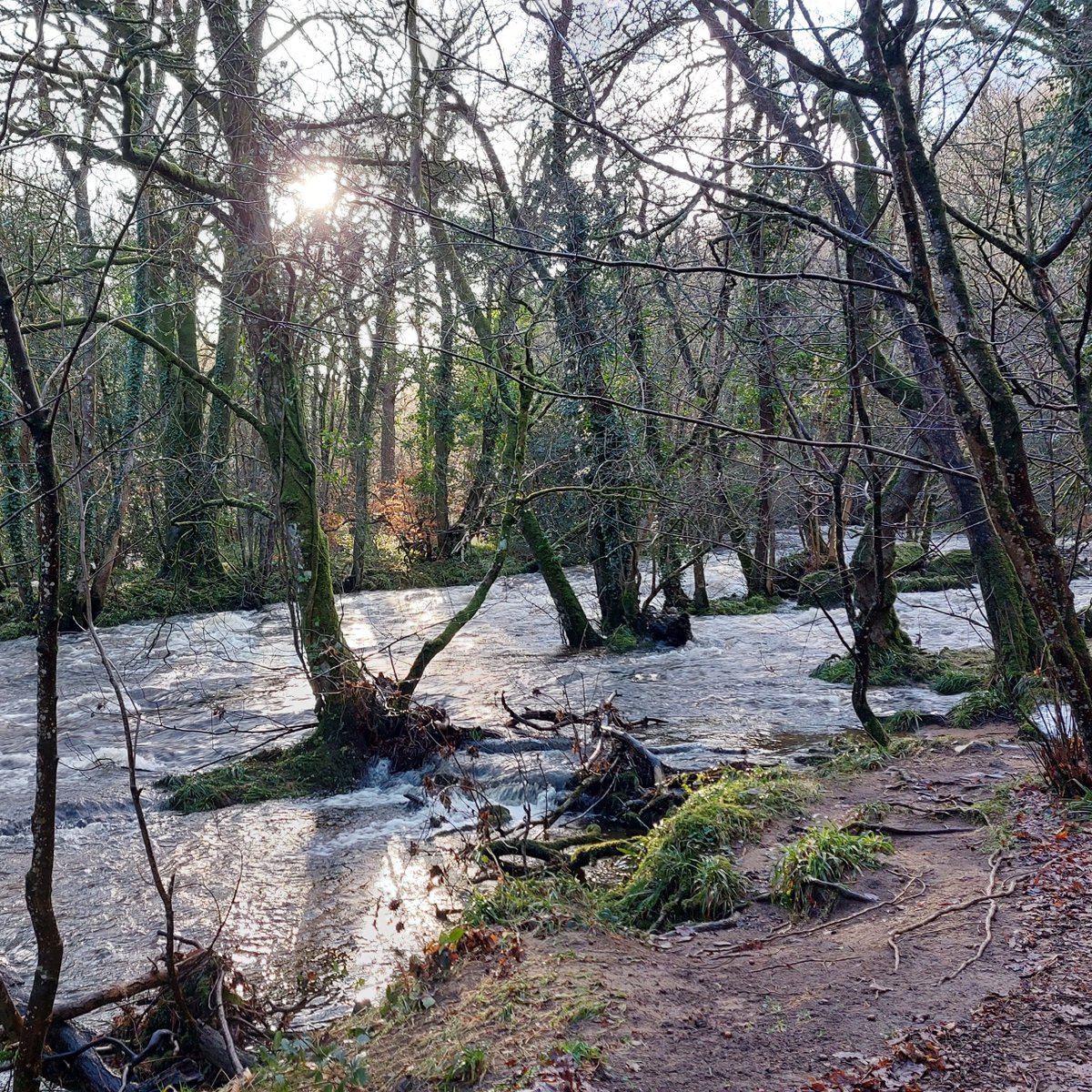 DartmoorNT's tweet photo. After Storm Goretti brough high winds and some snow on higher parts of the moor, the weather is set to get much warmer this week.
But make the most of the sunshine as there's more rain forecast too.
📷 Thanks to Rose C for this photo of the #RiverTeign in the winter sun. https://t.co/FRUfOtN7YX
