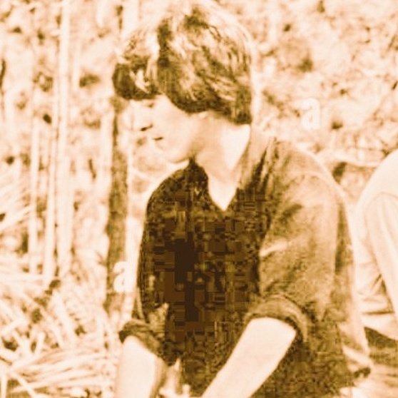 George Harrison (Parody) tweet media