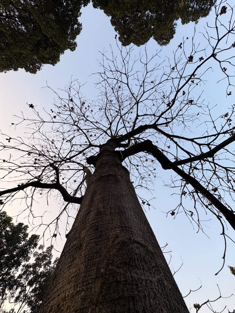 siddharthh:) tweet media