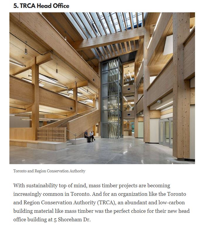 Element5 Mass Timber tweet media